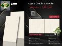 Gạch đá bán sứ mờ 60x120 MN 612-509